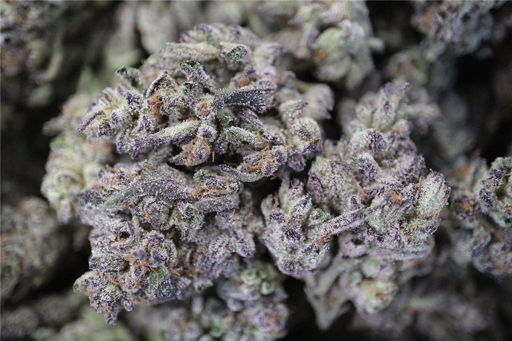 Candy Runtz 31%