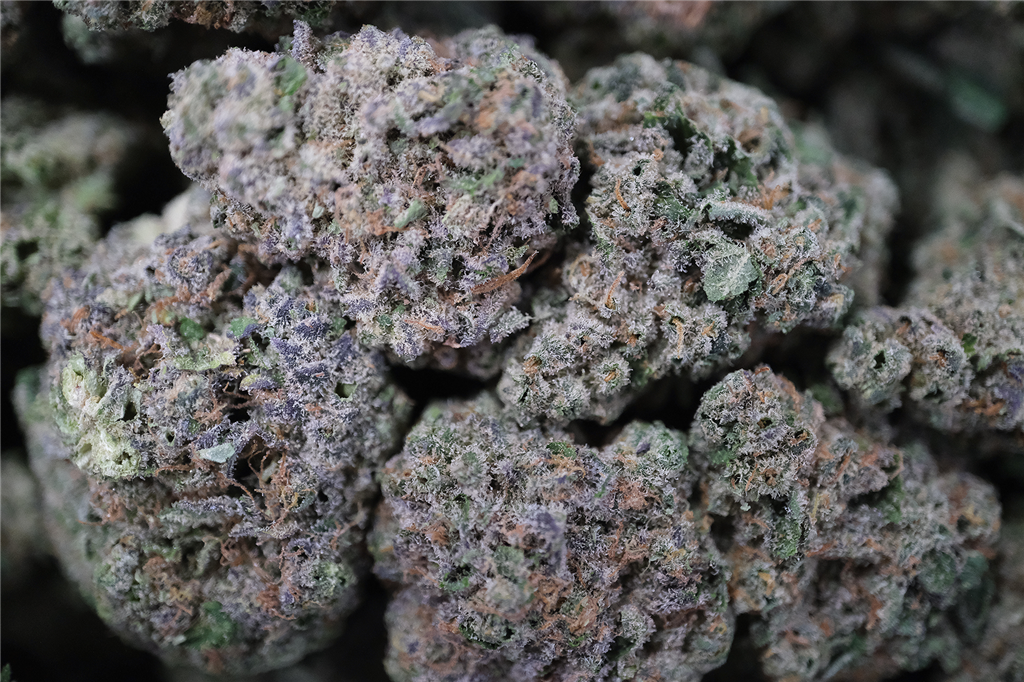 Sour Dreamz 31%